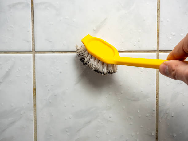 Best Kitchen Mold Remediation in Bogata, TX