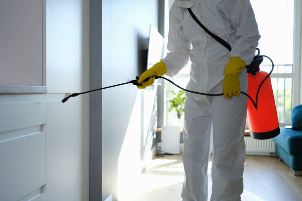 Best HVAC Mold Remediation in Bogata, TX
