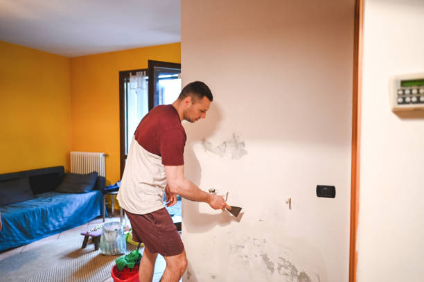 Reliable Bogata, TX Mold Remediation Solutions